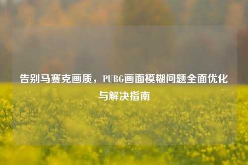 告别马赛克画质,PUBG画面模糊问题全面优化与解决指南