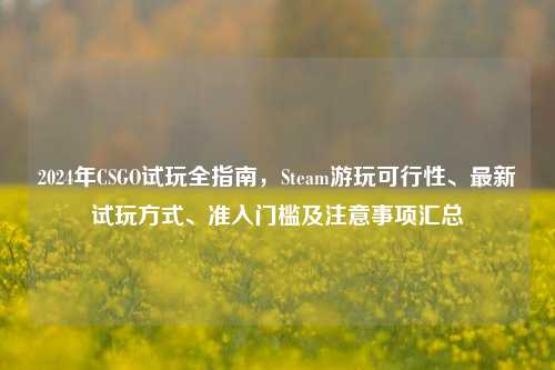 2024年CSGO试玩全指南，Steam游玩可行性、最新试玩方式、准入门槛及注意事项汇总