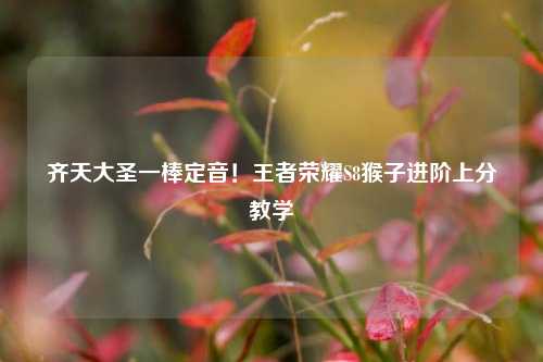 齐天大圣一棒定音!王者荣耀S8猴子进阶上分教学