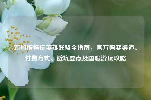 新加坡畅玩英雄联盟全指南,官方购买渠道、付费方式、避坑要点及国服游玩攻略