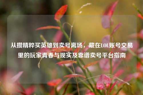 从攒精粹买英雄到卖号离场,藏在LOL账号交易里的玩家青春与现实及靠谱卖号平台指南