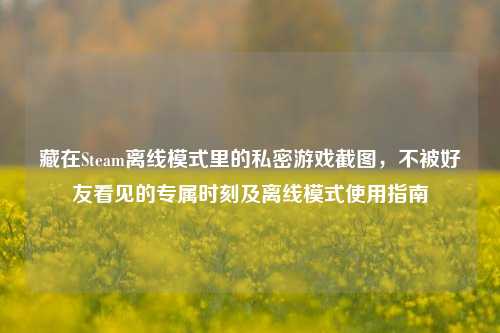 藏在Steam离线模式里的私密游戏截图,不被好友看见的专属时刻及离线模式使用指南