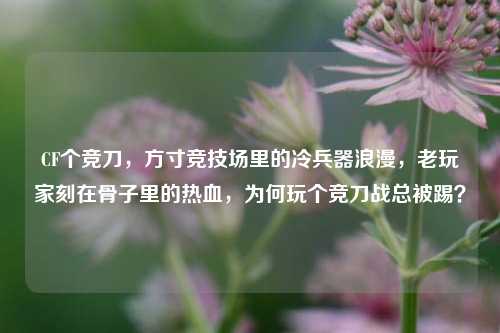 CF个竞刀,方寸竞技场里的冷兵器浪漫,老玩家刻在骨子里的热血,为何玩个竞刀战总被踢?