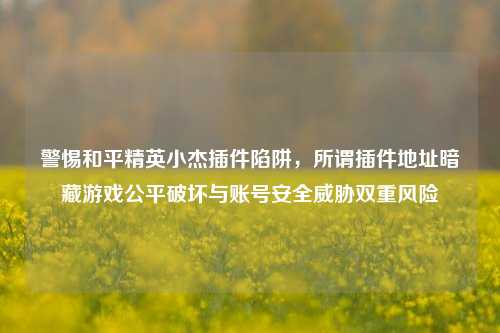 警惕和平精英小杰插件陷阱,所谓插件地址暗藏游戏公平破坏与账号安全威胁双重风险