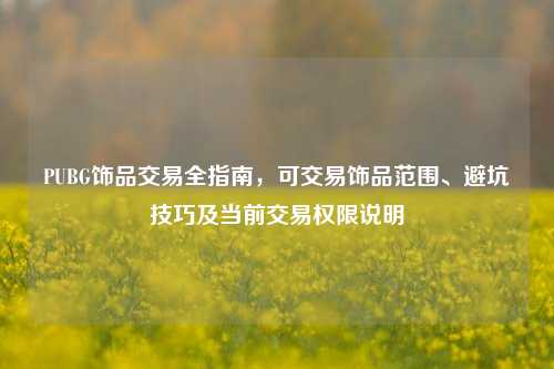 PUBG饰品交易全指南,可交易饰品范围、避坑技巧及当前交易权限说明