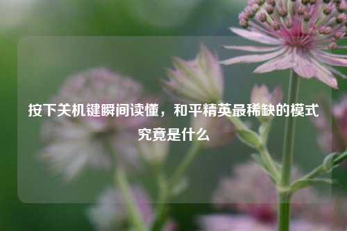 按下关机键瞬间读懂,和平精英最稀缺的模式究竟是什么