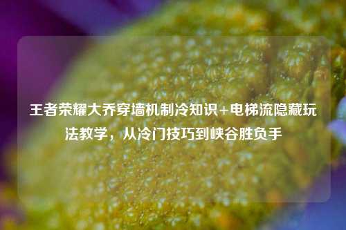王者荣耀大乔穿墙机制冷知识+电梯流隐藏玩法教学,从冷门技巧到峡谷胜负手