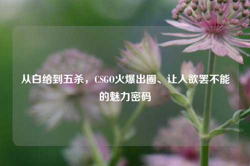 从白给到五杀,CSGO火爆出圈、让人欲罢不能的魅力密码