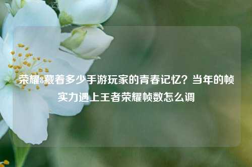 荣耀8藏着多少手游玩家的青春记忆?当年的帧实力遇上王者荣耀帧数怎么调
