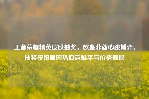 王者荣耀精英皮肤抽奖,欧皇非酋心跳博弈,抽奖按钮里的热血意难平与价格揭秘