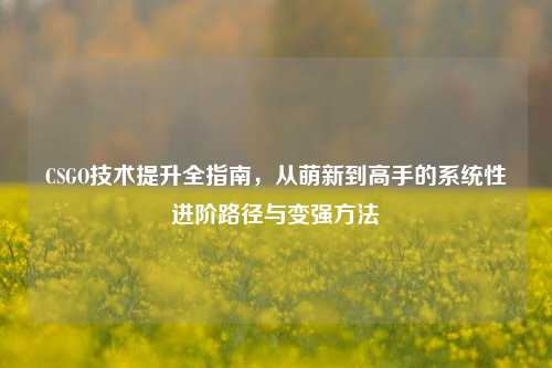 CSGO技术提升全指南,从萌新到高手的系统性进阶路径与变强方法