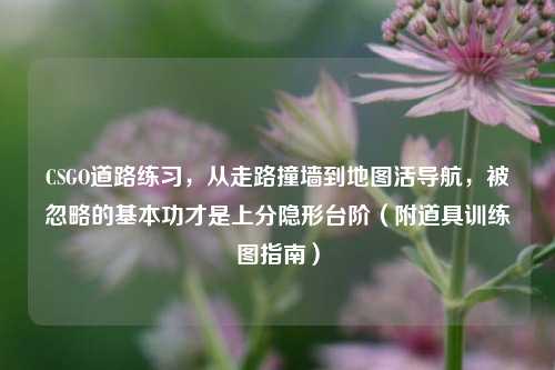 CSGO道路练习,从走路撞墙到地图活导航,被忽略的基本功才是上分隐形台阶(附道具训练图指南)