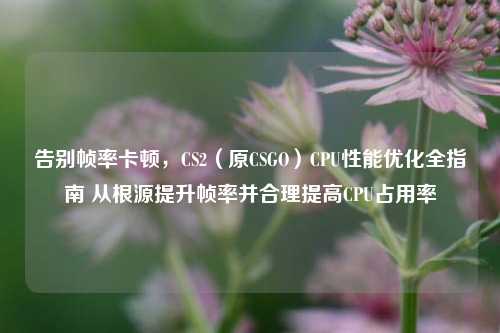 告别帧率卡顿,CS2(原CSGO)CPU性能优化全指南 从根源提升帧率并合理提高CPU占用率