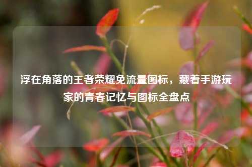 浮在角落的王者荣耀免流量图标，藏着手游玩家的青春记忆与图标全盘点