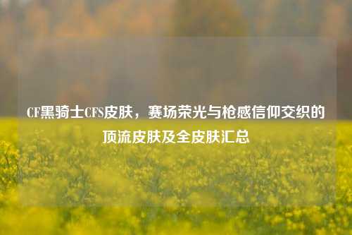 CF黑骑士CFS皮肤，赛场荣光与枪感信仰交织的顶流皮肤及全皮肤汇总