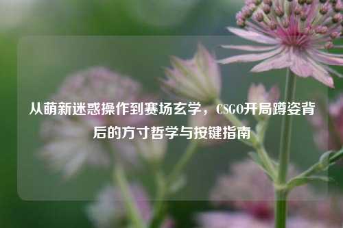 从萌新迷惑操作到赛场玄学,CSGO开局蹲姿背后的方寸哲学与按键指南