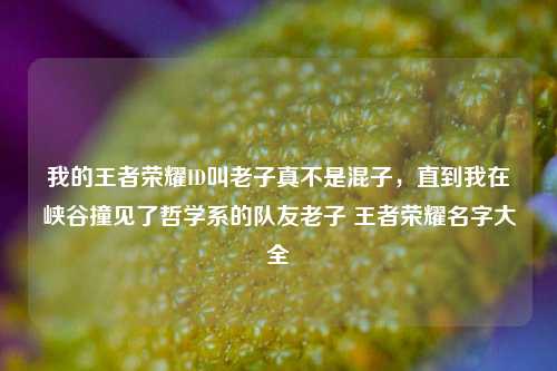 我的王者荣耀ID叫老子真不是混子,直到我在峡谷撞见了哲学系的队友老子 王者荣耀名字大全