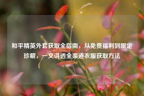 和平精英外套获取全指南,从免费福利到限定珍藏,一文讲透全渠道衣服获取方法