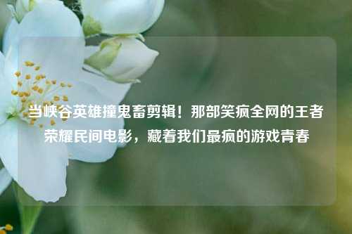 当峡谷英雄撞鬼畜剪辑！那部笑疯全网的王者荣耀民间电影，藏着我们最疯的游戏青春