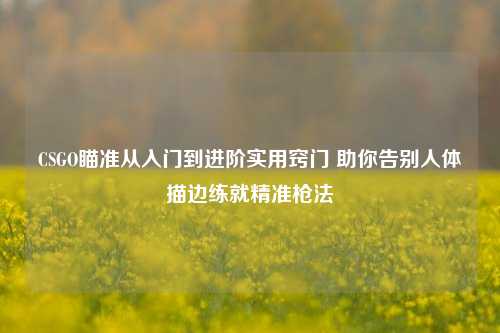CSGO瞄准从入门到进阶实用窍门 助你告别人体描边练就精准枪法