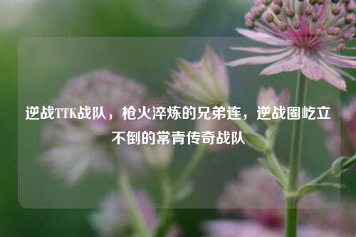 逆战TTK战队,枪火淬炼的兄弟连,逆战圈屹立不倒的常青传奇战队
