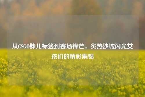 从CSGO妹儿标签到赛场锋芒,炙热沙城闪光女孩们的精彩集锦