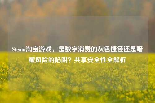 Steam淘宝游戏,是数字消费的灰色捷径还是暗藏风险的陷阱?共享安全性全解析