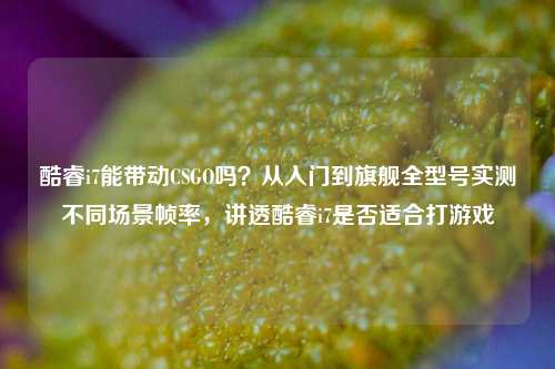 酷睿i7能带动CSGO吗?从入门到旗舰全型号实测不同场景帧率,讲透酷睿i7是否适合打游戏