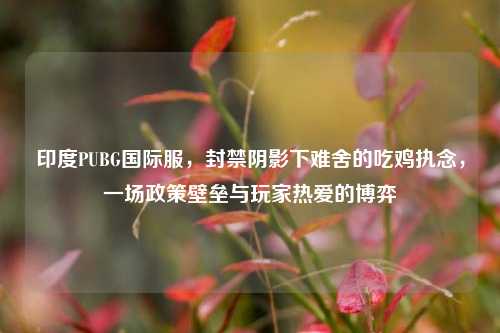 印度PUBG国际服,封禁阴影下难舍的吃鸡执念,一场政策壁垒与玩家热爱的博弈