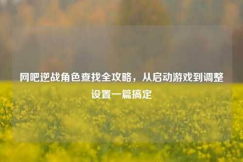 网吧逆战角色查找全攻略,从启动游戏到调整设置一篇搞定