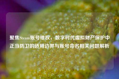 聚焦Steam账号维权,数字时代虚拟财产保护中正当防卫的适用边界与账号命名相关问题解析