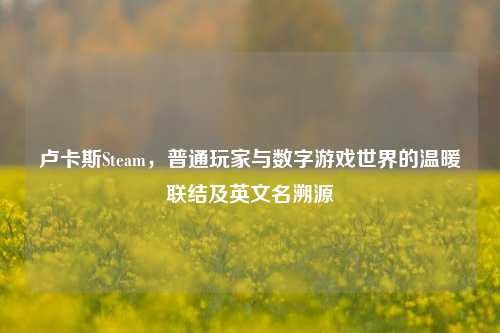 卢卡斯Steam,普通玩家与数字游戏世界的温暖联结及英文名溯源