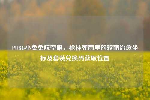 PUBG小兔兔航空服,枪林弹雨里的软萌治愈坐标及套装兑换码获取位置