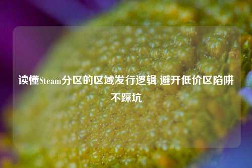 读懂Steam分区的区域发行逻辑 避开低价区陷阱不踩坑