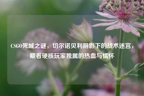 CSGO死城之谜，切尔诺贝利阴影下的战术迷宫，藏着硬核玩家独属的热血与情怀