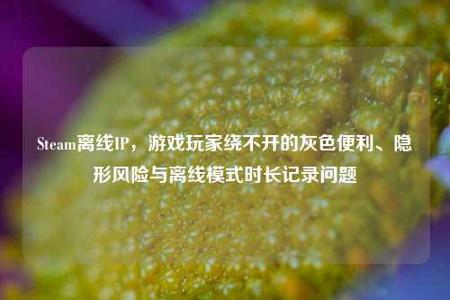 Steam离线IP,游戏玩家绕不开的灰色便利、隐形风险与离线模式时长记录问题