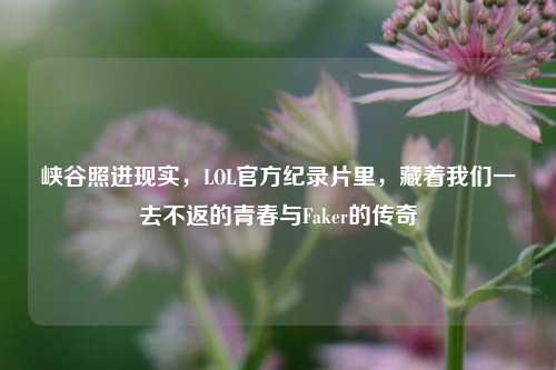 峡谷照进现实,LOL官方纪录片里,藏着我们一去不返的青春与Faker的传奇