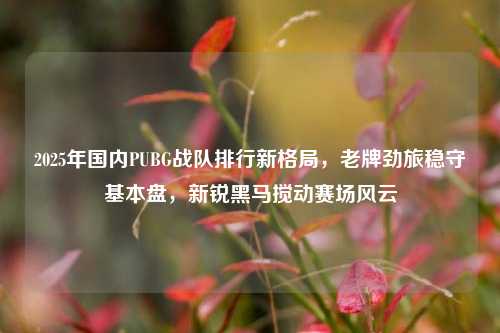 2025年国内PUBG战队排行新格局,老牌劲旅稳守基本盘,新锐黑马搅动赛场风云
