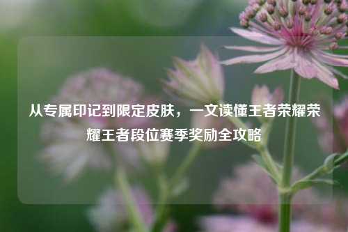 从专属印记到限定皮肤,一文读懂王者荣耀荣耀王者段位赛季奖励全攻略