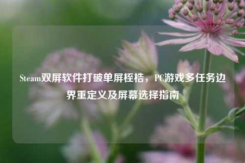 Steam双屏软件打破单屏桎梏,PC游戏多任务边界重定义及屏幕选择指南
