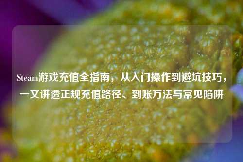 Steam游戏充值全指南,从入门操作到避坑技巧,一文讲透正规充值路径、到账方法与常见陷阱