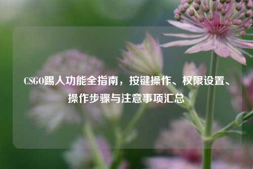 CSGO踢人功能全指南,按键操作、权限设置、操作步骤与注意事项汇总