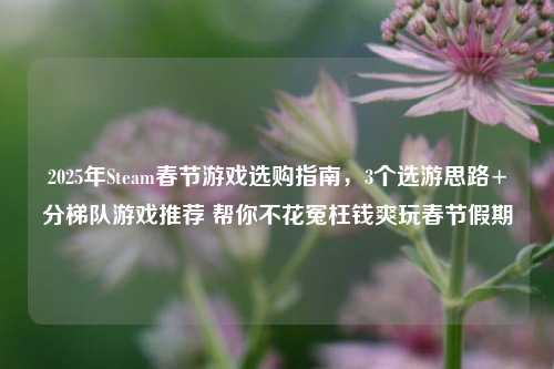 2025年Steam春节游戏选购指南,3个选游思路+分梯队游戏推荐 帮你不花冤枉钱爽玩春节假期