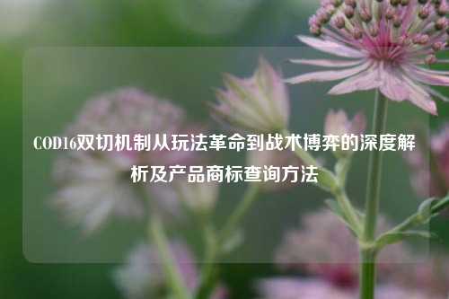 COD16双切机制从玩法革命到战术博弈的深度解析及产品商标查询方法