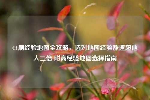 CF刷经验地图全攻略,选对地图经验涨速超他人三倍 附高经验地图选择指南