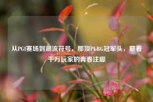 从PGI赛场到潮流符号,那顶PUBG冠军头,藏着千万玩家的青春注脚