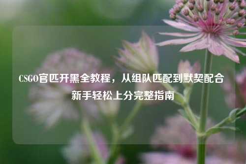 CSGO官匹开黑全教程,从组队匹配到默契配合 新手轻松上分完整指南