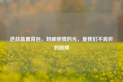 逆战晶翼背包,划破绝境的光,是我们不肯折的翅膀