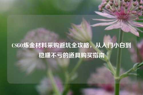 CSGO炼金材料采购避坑全攻略,从入门小白到稳赚不亏的道具购买指南