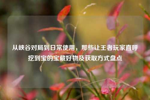 从峡谷对局到日常使用,那些让王者玩家直呼挖到宝的宝藏好物及获取方式盘点